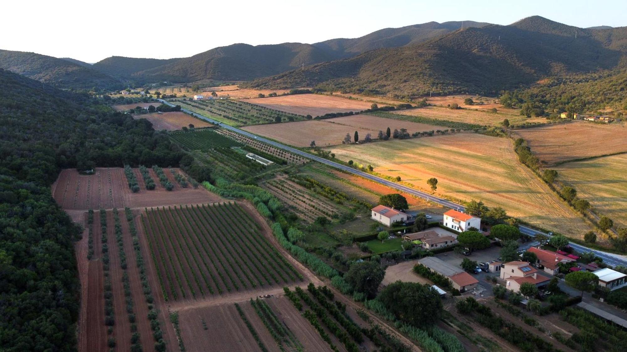 Agriturismo La Sassicaia Castiglione della Pescaia Exterior foto